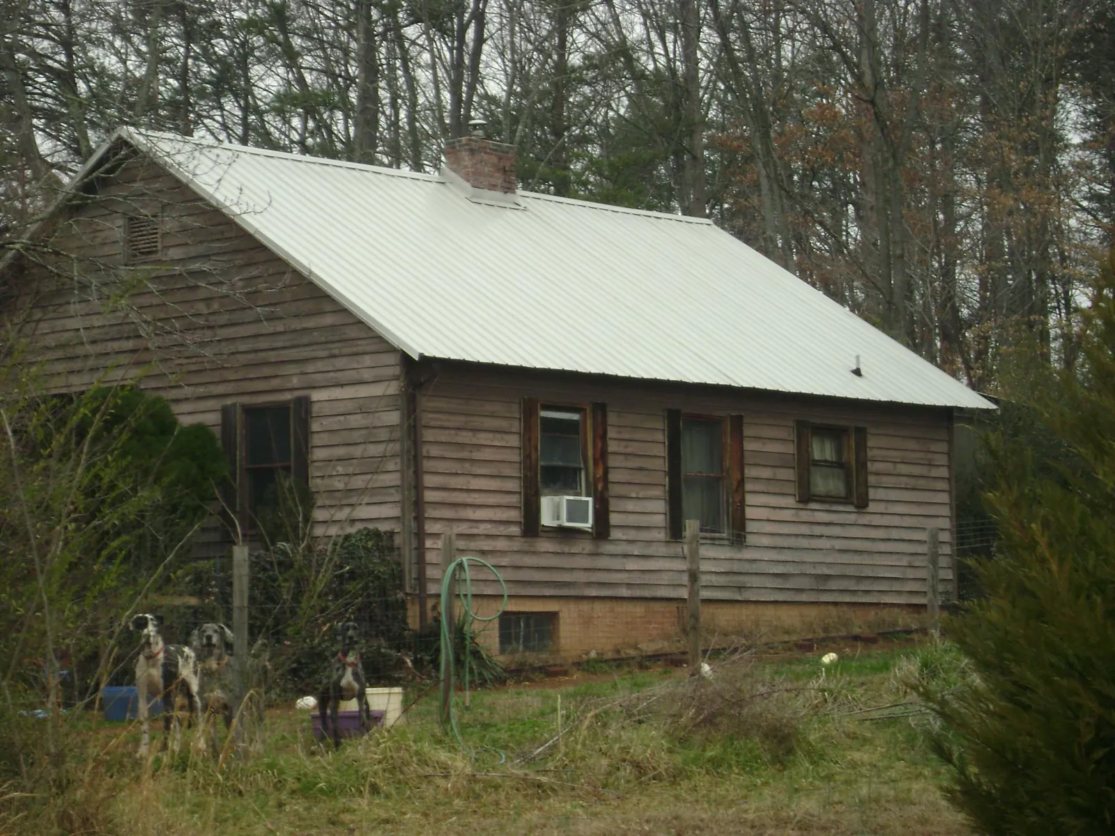 White metal roof on an old wood sided farmhouse, from a Asphalt Shingle Roof Repair job in Conesus